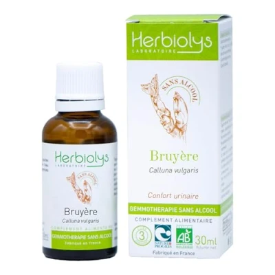 Image de Macérât de Bourgeon Bio Sans Alcool Gemmothérapie Flacon 30 ml Herbiolys (30 ml, Bruyère)
