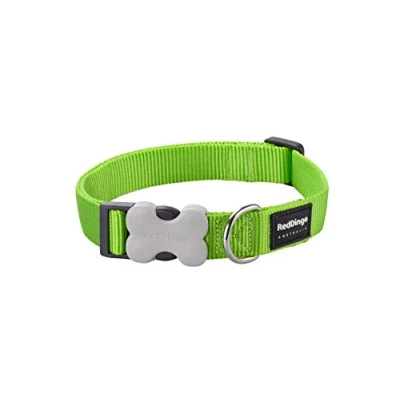 Image de Red Dingo Collier pour Chien Vert Taille 31 47 cm 20 mm