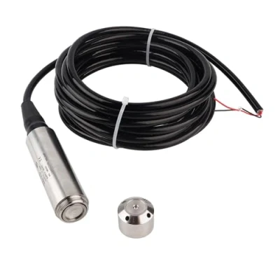 Image de Capteur de Niveau Liquide Yb 2j f Transmetteur Type D&#039;entrée Détecteur D&#039;eau Avec Sonde en Acier Inoxydable(0 4m Measuring Range)
