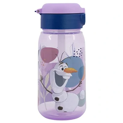 Image de Stor BOUTEILLE RÉUTILISABLE ACTIVE DE 510 ML FROZEN TRUST THE JOURNEY