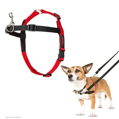 Image de Harnais de contrôle HALTI, Taille S, pour que votre chien arrête tirer sur sa laisse, Design léger et les sangles rembourrées en neoprene, anti traction petits chiens