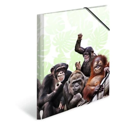 Image de Herma 19960 Classeur DIN A4 animaux exotiques bande de singes en plastique solide avec rabats intérieurs imprimés, reliure élastique, 1 porte documents pour enfants