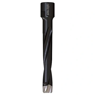 Image de CMT 380.101.11 Agir pour Domino Jonction machines par Festool Df700, 10 mm (25/162,6 cm), M8 x 1 Tige