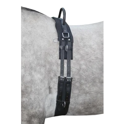 Image de HKM Surfaix de Longe avec Poignée Noir Poney