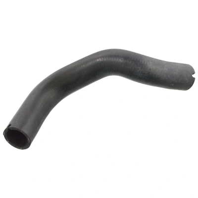 Image de SWAG 70 10 6237 Durite De Refroidissement gauche supérieur EPDM (éthylène propylène diène caoutchouc) FIAT: Punto II 3/5 portes, Idea, LANCIA: Musa