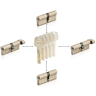 Image de GERCAR 4x cylindre serrure/barillet de porte profilé ou à bouton 60/70/80/90 mm combinaison libre cylindres tailles différentes avec la même clé 5 clés passe partout système OKS
