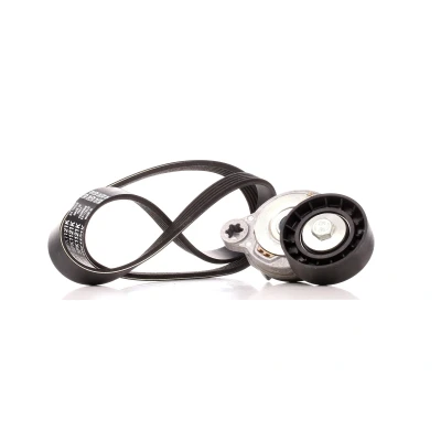 Image de DAYCO KPV279 Jeu de courroies trapézoïdales à nervures VOLVO: XC60 I, V60 V70 3