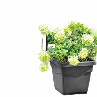 Image de DEROMA Pot de fleurs carré Day R anthracite Coloris gris 38cm