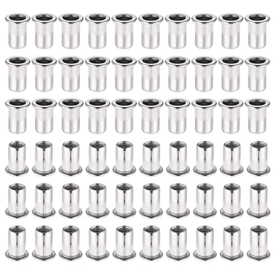 Image de Hejo 60 Pièces 304 Ecrou a Sertir M6 en Acier Inoxydable Tête Plate Aveugle Rivet fileté pour pince à insert