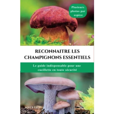 Image de Reconnaitre les champignons essentiels: Le guide indispensable pour une cueillette en toute sécurité