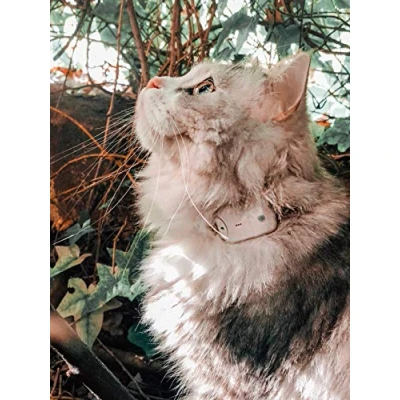 Image de Girafus/Traceur Chat/Sans Abonnement/Radio Localisateur non GPS/Mini Tracker Pour Collier Chat Chien/Suivi Jusqu’à 4 Animaux/Fonctionne Aussi En Espace Clos / + Chargeur Inclus