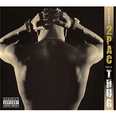 Image de The Best of 2 PAC Part 1 : Thug