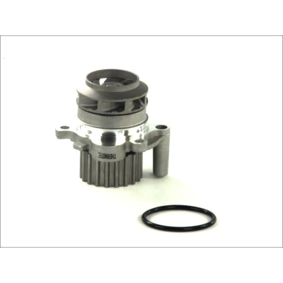 Image de THERMOTEC D1A023TT Pompe à eau 19 avec joint d&#039;étanchéite mécanique VOLKSWAGEN: Golf 4, Bora Berline, New Beetle 3/5 portes, SEAT: Leon I portes