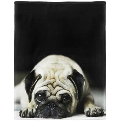 Image de YISUMEI 125x200 cm Couverture Flanelle Douce D¨coration de Canap¨ Lit Automne et Hiver Carlin Tummy Daze,Blanc