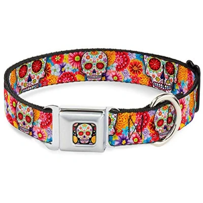 Image de Buckle Down 938,1 cm Motif tête de Mort Starburst Blanc/Multi Couleur Collier Chien