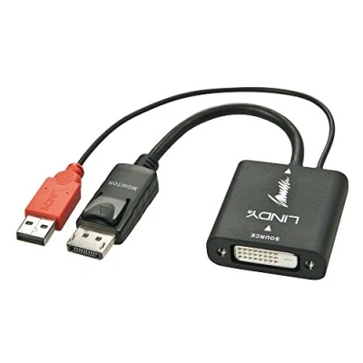 Image de LINDY Adaptateur convertisseur DVI D vers DisplayPort Noir
