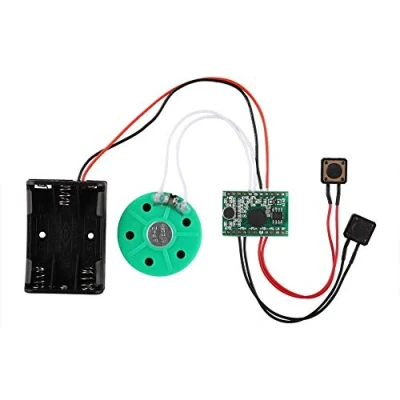 Image de Module de Voix Enregistrable Voeux Vocal Etendu DIY 10CM Durée d&#039;Enregistrement: 60 Secondes.