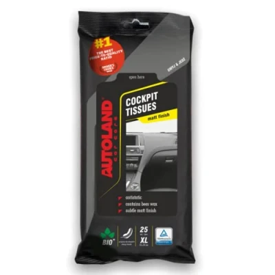 Image de AUTOLAND 138130199 Nettoyant pour plastiques 25