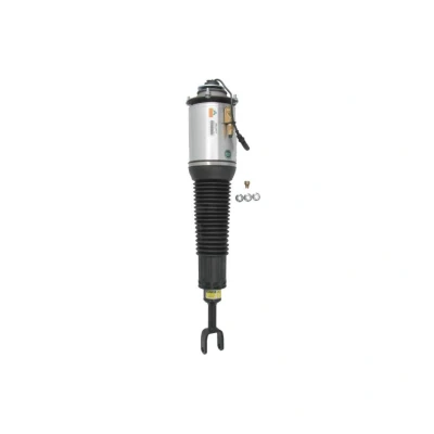 Image de Arnott AS 2777 Ressort pneumatique avant droite AUDI: A8 D3