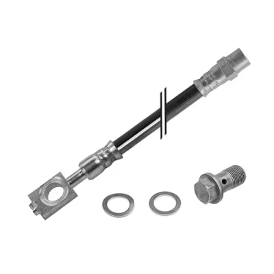 Image de MEYLE 100 525 0033/S Flexible De Frein Essieu arrière 280mm M10x1mm AUDI: A8 D2 (4D2, 4D8) 3.7, S8 quattro, 2.5 TDI, TDI quattro