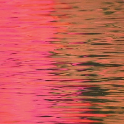Image de Dead Reflection