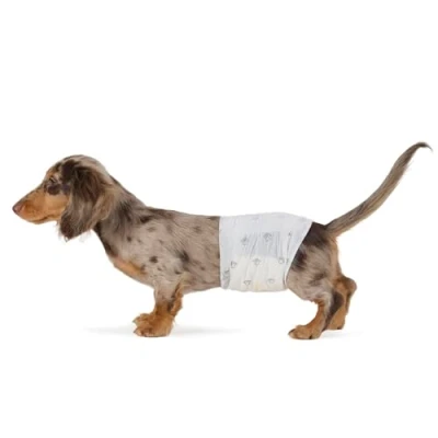 Image de Amazon Basics Lot de 30 Couches jetables pour Chien mâle, Taille S, Blanc