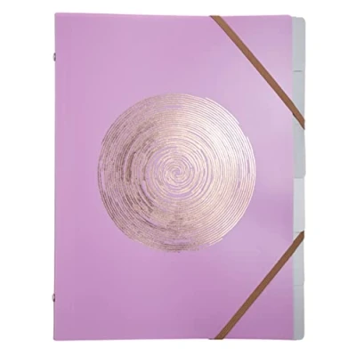 Image de Exacompta Réf. 56890E 1 trieur Ellipse avec élastiques couverture en polypropylène recyclé timbrage or rosé 6 compartiments pour A4 dim 25 x 32 cm couleurs aléatoires