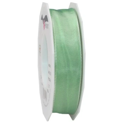 Image de PRÄSENT Ruban Taffetas Fil de Fer Lyon Vert Menthe 25mm Largeur 25m Longueur