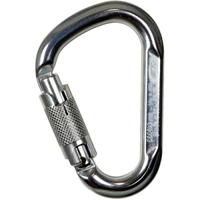 Image de Climbing Technology Snappy WG 2C46000XTBCTSTD Mousqueton, Brillant, Taille Unique
