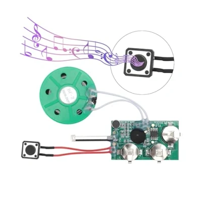 Image de Module Vocal enregistrable, de Carte voeux enregistrable Bricolage 4 Min.(Jeu Unique)