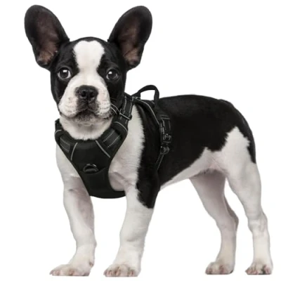 Image de rabbitgoo Harnais Chien S Arnais Noir Anti Traction Réfléchissant Gilet Réglable pour Petit Chien, Attache Devant Crochet de Laisse Randonnée Trajet Voiture, Jack Russell
