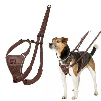 Image de Harnais anti traction HALTI pour que votre chien arrête de tirer sur sa laisse, Réfléchissant, sangle poitrail et des pattes avant rembourrée, petits chiens (Taille S, Brun Noisette)