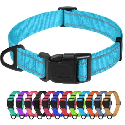 Image de TagME Collier pour Chien, en Nylon Réfléchissant Réglable Classique Convient Grands Chiens, Bleu Ciel, 2.5cm Largeur