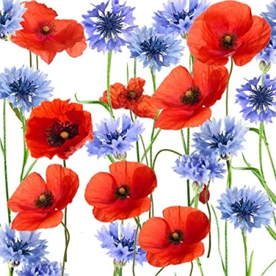 Image de Tischdeko Lot de 20 serviettes table pour cocktail Motif coquelicots