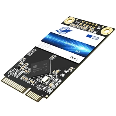 Image de Dogfish Disque SSD mSATA 480GO Interne Dur Haute Performance pour Ordinateur Portable SATA III 6Gb / s Comprend 64GO 120GO 128GO 240GO 256GO 500GO 1TO (480GO, MSATA)