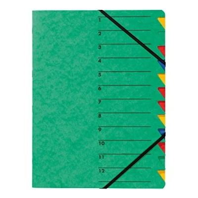 Image de Pagna 24131 03 Trieur A4 Easy en carton avec 12 onglets colorés (Vert)