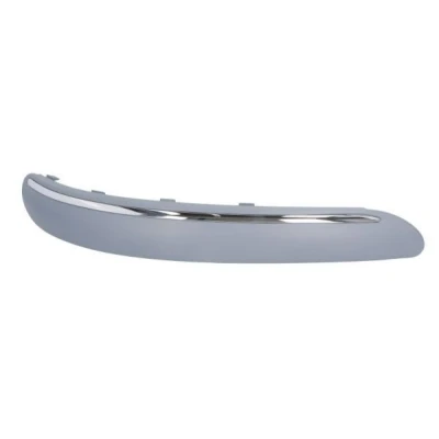 Image de Baguette et bande protectrice, pare chocs BLIC 6502 07 3505922Q Droite