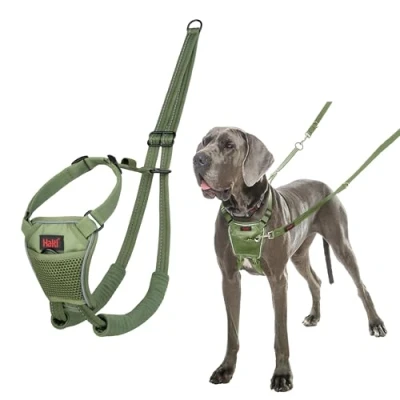 Image de Harnais Anti Traction HALTI pour Que Votre Chien arrête de Tirer sur sa Laisse, Réfléchissant, Sangle poitrail et des Pattes Avant rembourrée, Grand Chiens (Taille L, Vert Forêt)