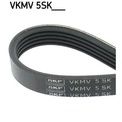 Image de SKF VKMV 5SK926 Courroie Poly V 926 5 FIAT: Doblo I Break, Cargo, Stilo 3/5 portes