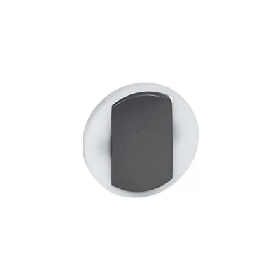 Image de Legrand 065204 Enjoliveur Large Céliane pour Interrupteur, Poussoir Lumineux, Finition Graphite