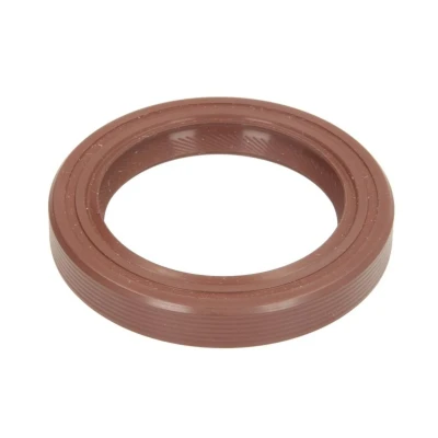Image de REINZ 81 25944 10 Joint Spi De Vilebrequin FPM (caoutchouc fluoré) VOLKSWAGEN: TRANSPORTER 3 Kasten, Bus,