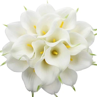 Image de Veryhome 20 Pcs Lys Calla De Mariée Bouquet Fleurs Artificielle Tête Fleur en Latex Real Touch Home Party Mariage Décoration (Blanc Jaune)