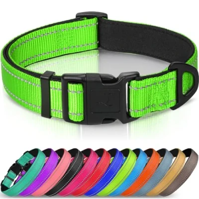 Image de Joytale Collier pour Chien en Nylon avec Bande Réfléchissante,Collier Rembourré Classique Moyenne Chien,Vert,M