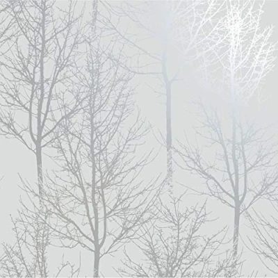 Image de Papier peint HOLDEN Rhea 90760 Motif arbres Gris et argenté 10,05 m x 53 cm