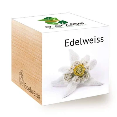 Image de Feel Green Ecocube Edelweiss, Idée Cadeau (100% Ecologique), Grow Your Own/Kit Prêt à Pousser, Plantes Dans Des Cubes En Bois 7.5cm, Produit Autriche