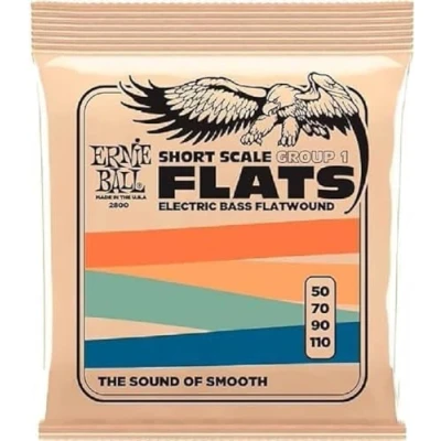 Image de Ernie Ball Short Scale Flatwound Group 1 Cordes à filet plat, diapason court, pour basse électrique, calibre 50 110