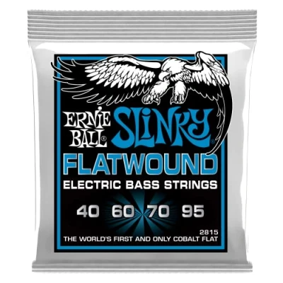 Image de Ernie Ball Extra Slinky Cordes à filet plat, pour basse électrique, calibre 40 95