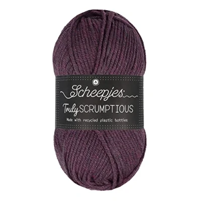 Image de Scheepjes Truly Scrumptious 347 Chocolaté Raspberry Bavarois Fil 1x100g