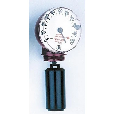 Image de jauge mécanique verticale m200v watts industries 22l0103102