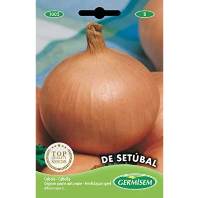 Image de Germisem graines Oignon jaune automne DE SETÚBAL